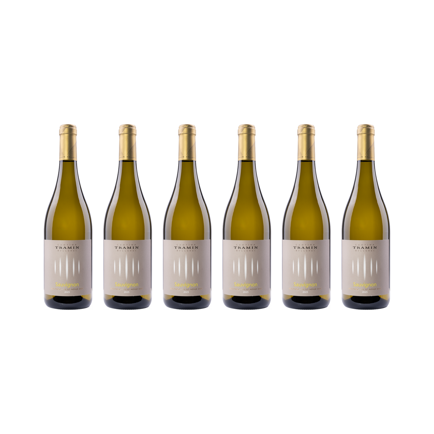 Sauvignon Blanc – 2025 — 6× 750 ml