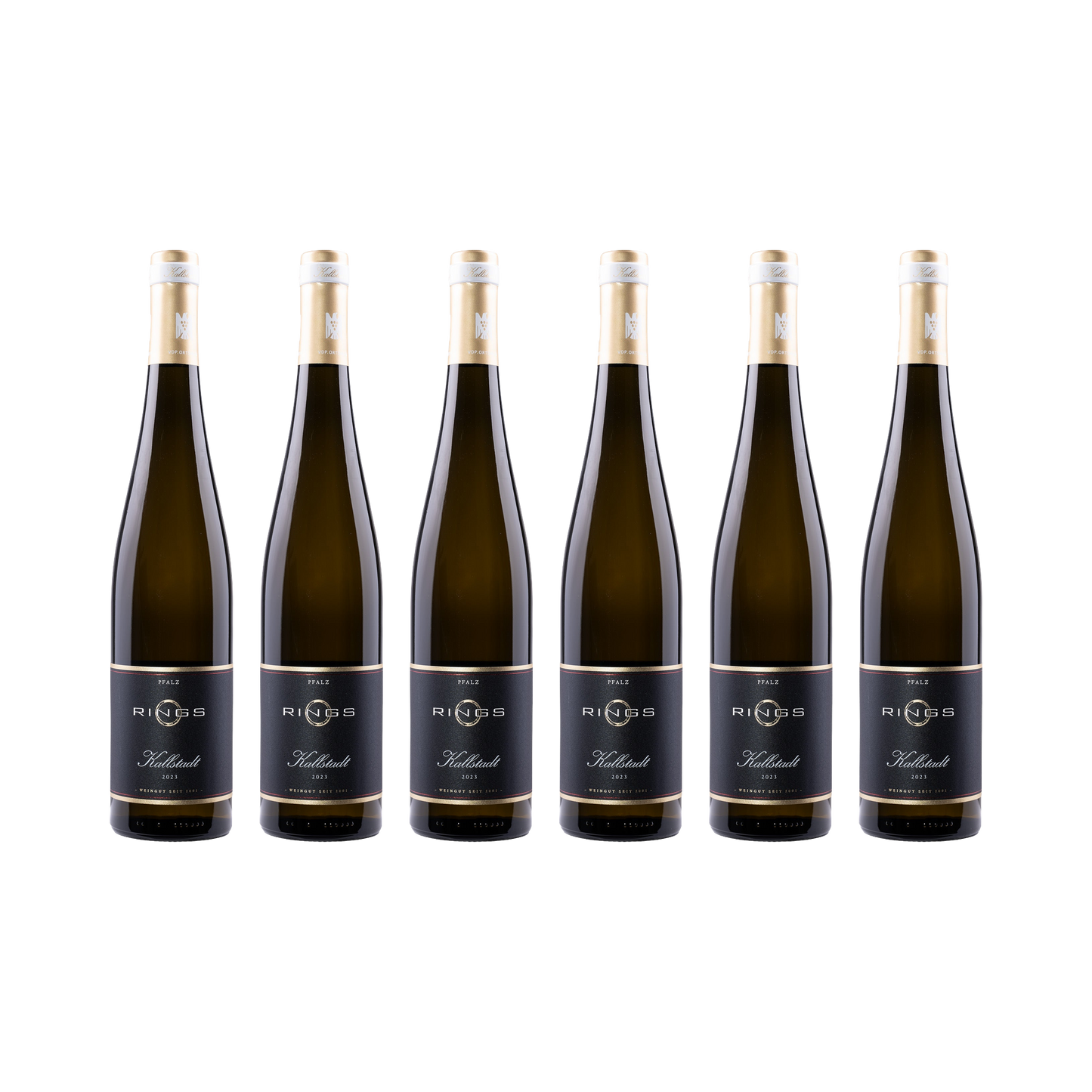 Kallstadt Riesling 2023 — 6× 750 ml