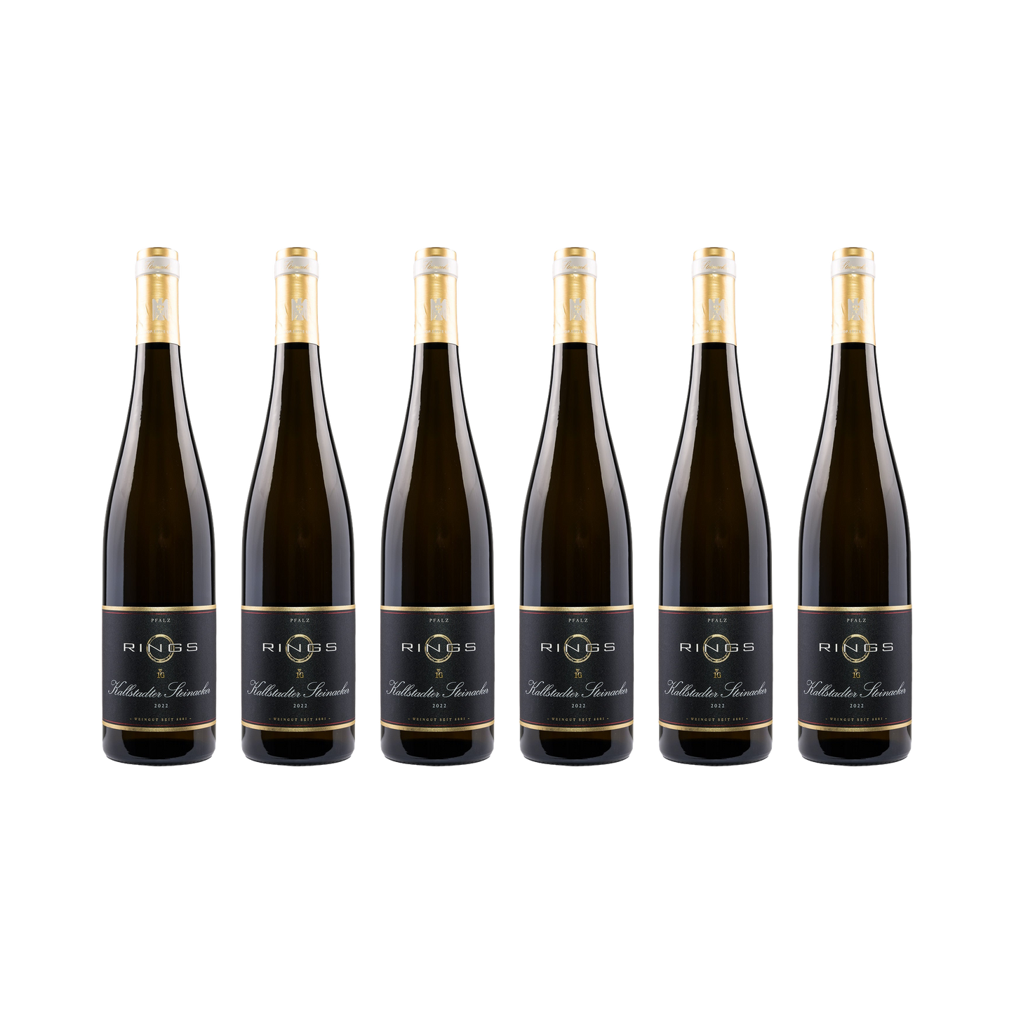 Kallstadter Steinacker Riesling 2022 — 6× 750 ml