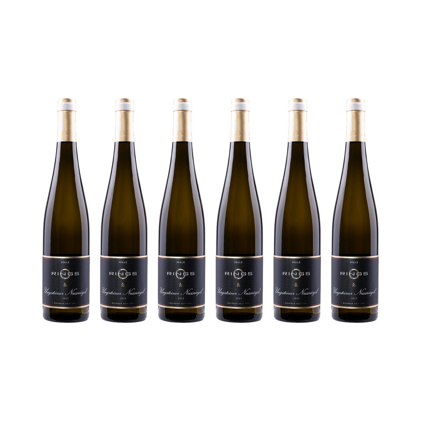 Ungsteiner Nussriegel Riesling 2023 — 6× 750 ml