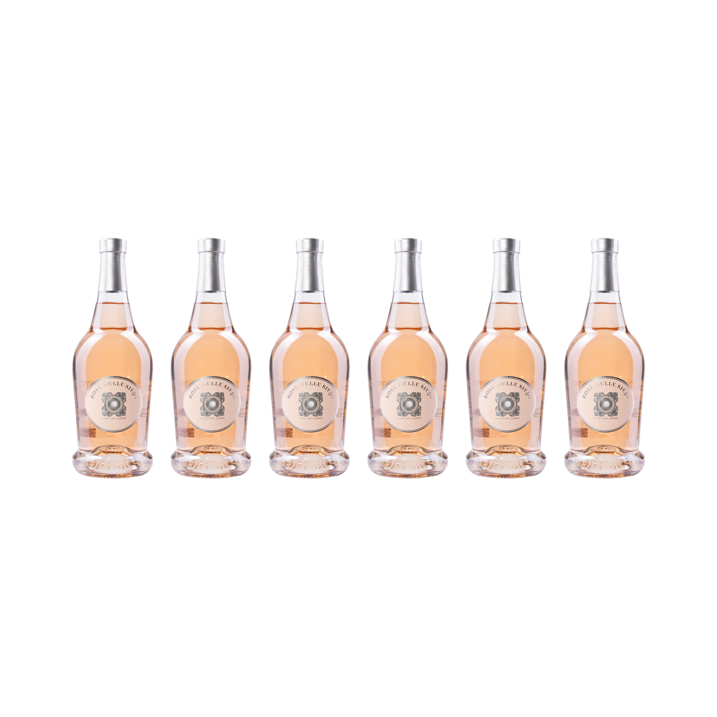 Rose delle Siepi – 2025 – 6er Set