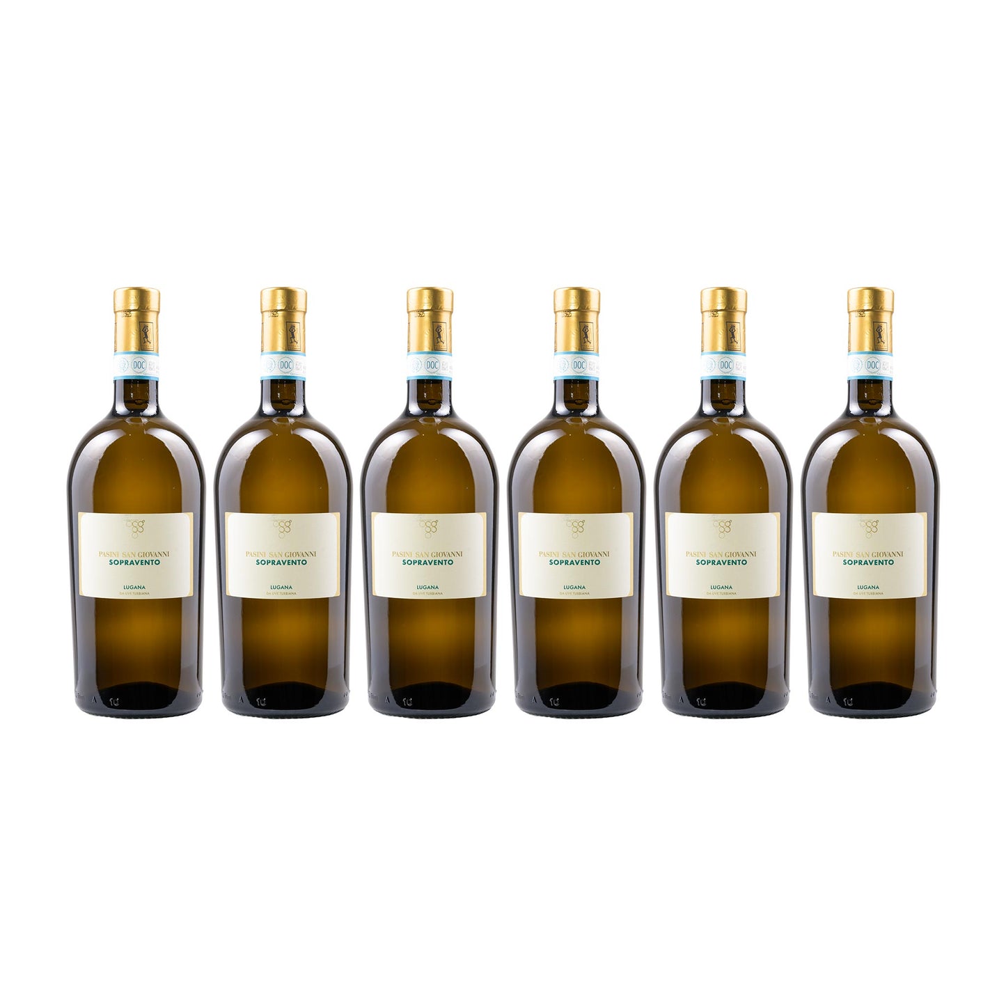 Pasini Il Lugana 6er Weinset