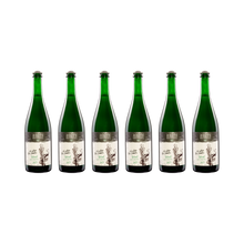 Pet Nat Oh when the saints – 2021 — 6× 750 ml