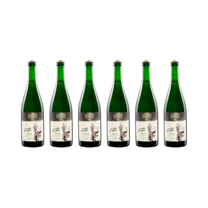 Pet Nat Oh when the saints – 2021 — 6× 750 ml