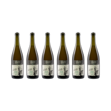 Pet Nat Oh when the saints – 2022 — 6× 750 ml