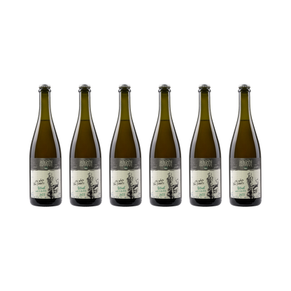 Pet Nat Oh when the saints – 2022 — 6× 750 ml