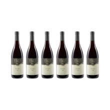 Pinot Noir – 2023 — 6× 750 ml