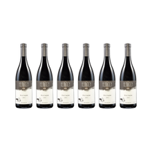 Pinot Freyheit – 2019 — 6× 750 ml