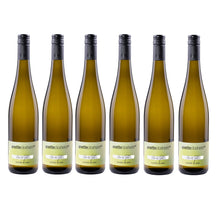 Anette Closheim Cuvée Blanc 2024 6er Set