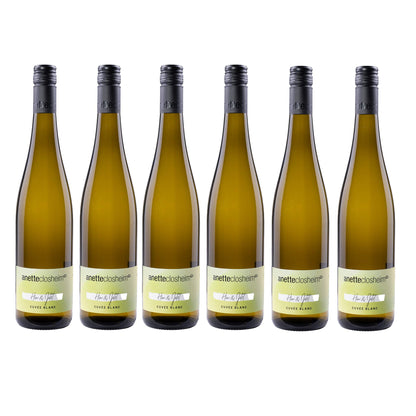 Anette Closheim Cuvée Blanc 2024 6er Set