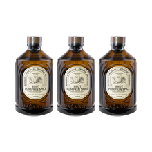 3er Set bacanha-brut-pumpkin-spice-sirup_3