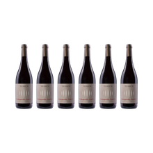 Blauburgunder – Pinot Nero – 2024 — 6× 750 ml