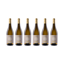 Chardonnay – 2025 — 6× 750 ml