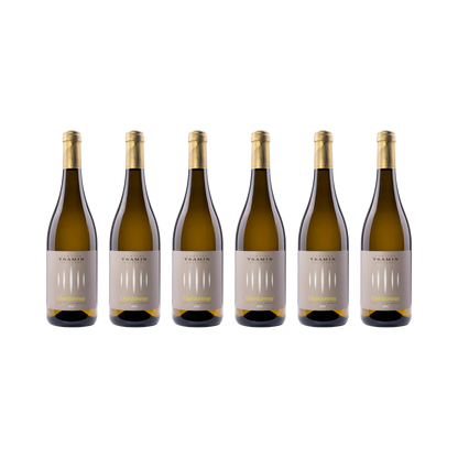 Chardonnay – 2025 — 6× 750 ml