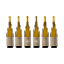 Gewürztraminer 2024 — 6× 750 ml
