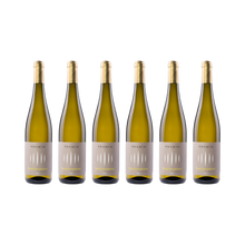 Gewürztraminer – 2025 — 6× 750 ml