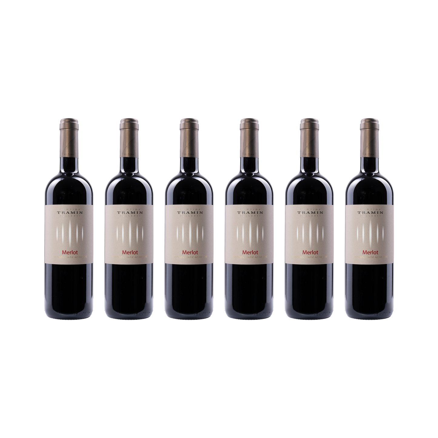 Merlot – 2024 — 6× 750 ml