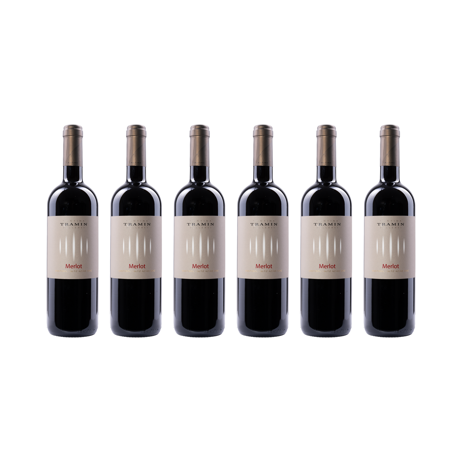 Merlot – 2024 — 6× 750 ml