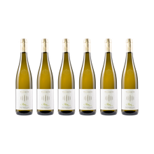 Moriz Weißburgunder – 2023 — 6× 750 ml