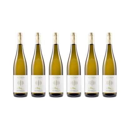 Moriz Weißburgunder – 2023 — 6× 750 ml