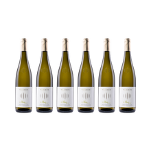 Moriz Weißburgunder – 2024 — 6× 750 ml