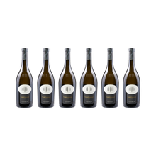 Nussbaumer Gewürztraminer – 2023 — 6× 750 ml