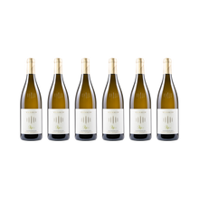 Pepi Sauvignon – 2023 — 6× 750 ml