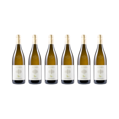 Pepi Sauvignon – 2023 — 6× 750 ml