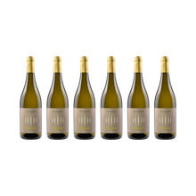 Pinot Grigio – 2024 — 6× 750 ml