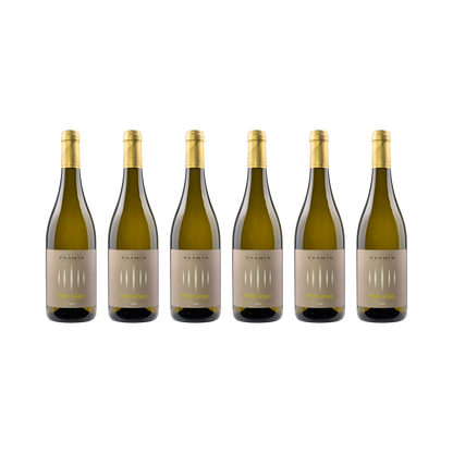 Pinot Grigio – 2024 — 6× 750 ml