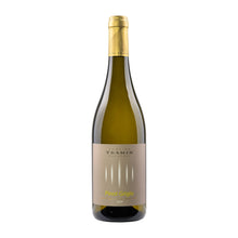 Cantina Tramin  Pinot Grigio 2024