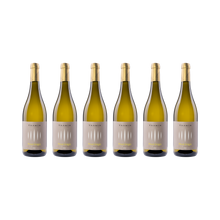 Pinot Grigio – 2025 — 6× 750 ml