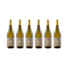 Sauvignon Blanc – 2024 — 6× 750 ml