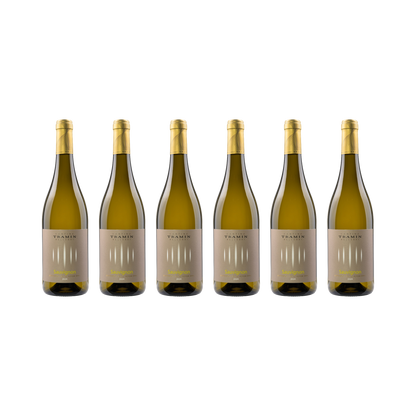 Sauvignon Blanc – 2024 — 6× 750 ml