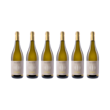 Sauvignon Blanc – 2025 — 6× 750 ml