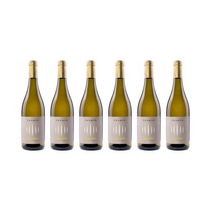 Sauvignon Blanc – 2025 — 6× 750 ml