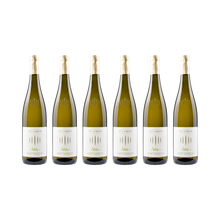 Selida Gewürztraminer – 2024 — 6× 750 ml