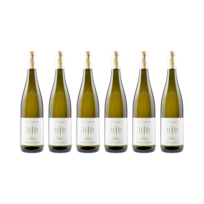Selida Gewürztraminer – 2024 — 6× 750 ml