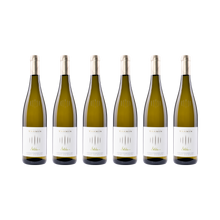 Selida Gewürztraminer – 2025 — 6× 750 ml