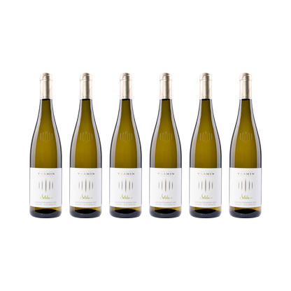 Selida Gewürztraminer – 2025 — 6× 750 ml
