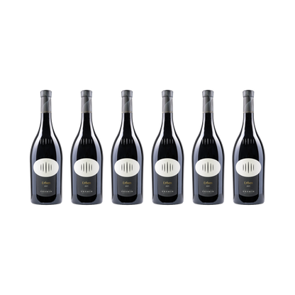 Urban Lagrein Riserva – 2021 — 6× 750 ml