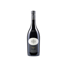 Cantina Tramin  Urban Lagrein Riserva  2021