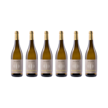 Weißburgunder – 2025 — 6× 750 ml