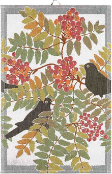 Ekelund  Koltrast Handtuch  40x60cm