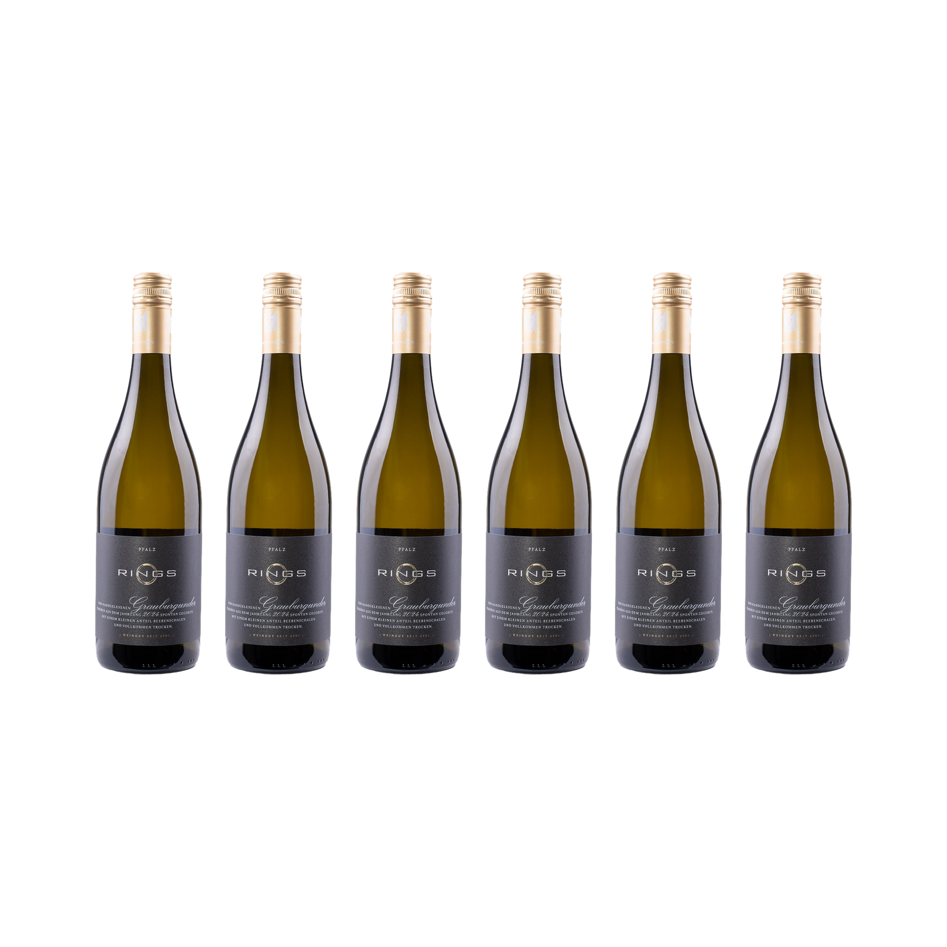Grauburgunder 2024 — 6× 750 ml