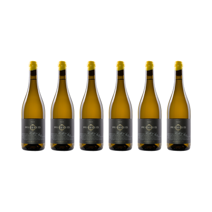 Kalk & Stein 2022 — 6× 750 ml