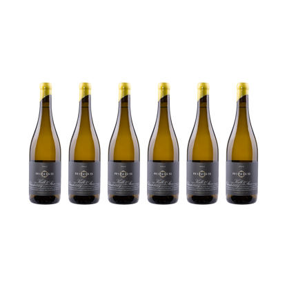 Kalk & Stein Chardonnay 2023 — 6× 750 ml