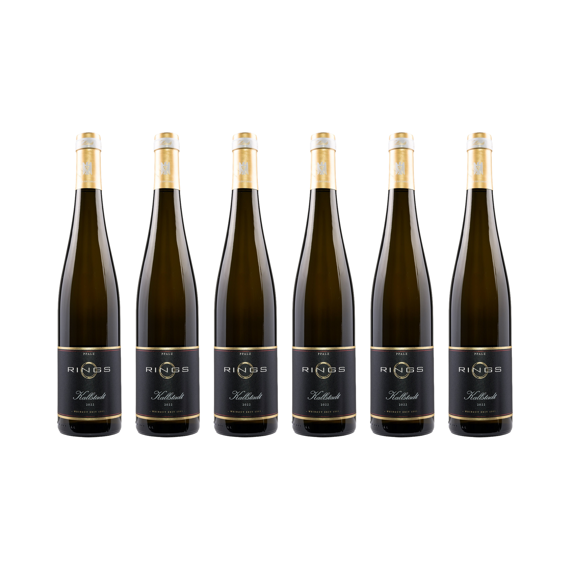 Kallstadt Riesling 2022 — 6× 750 ml