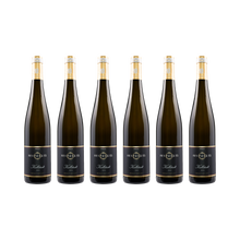 Kallstadt Riesling 2022 — 6× 750 ml