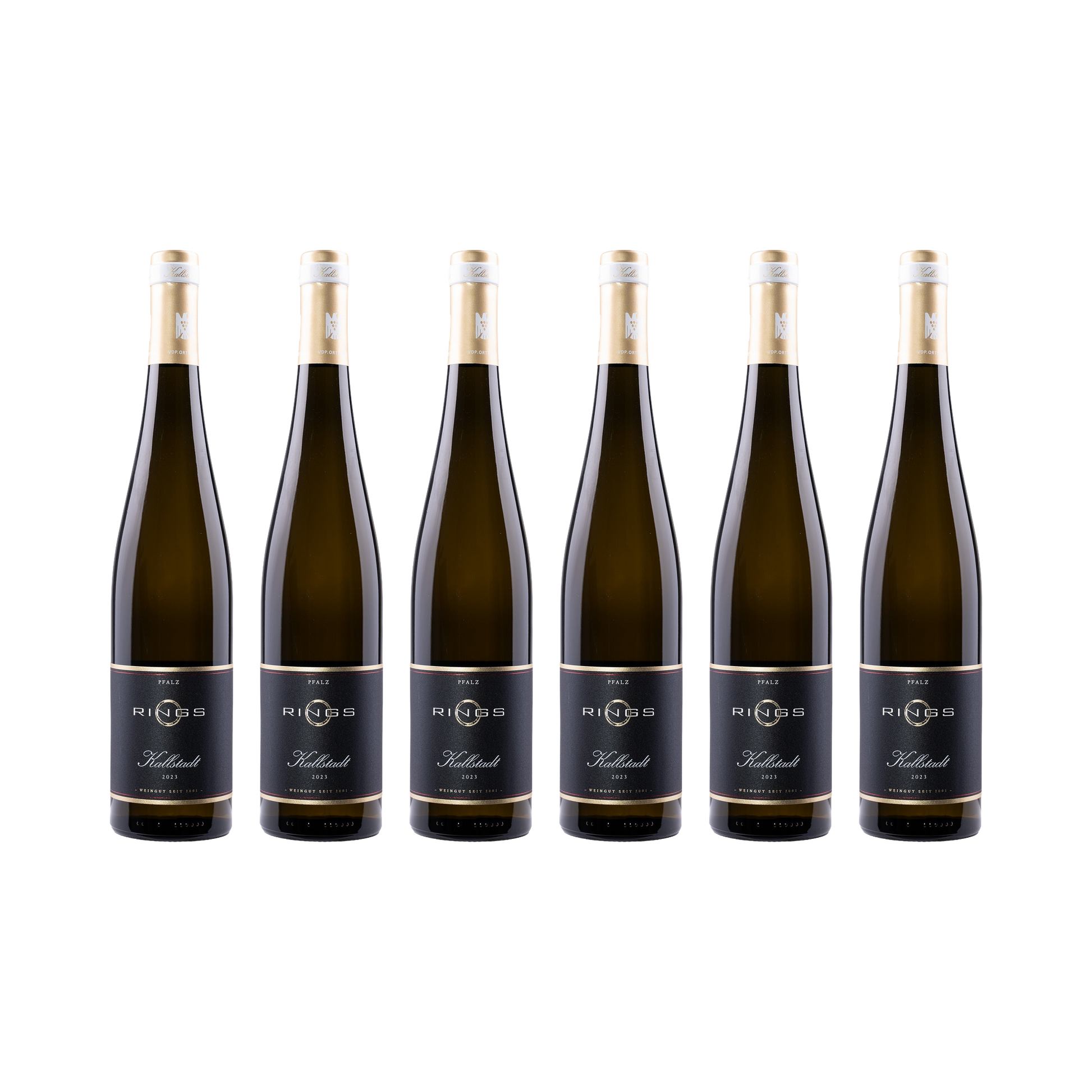 Kallstadt Riesling 2023 — 6× 750 ml